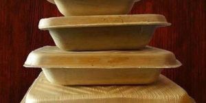 Areca Food Container