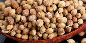 Coriander Seeds