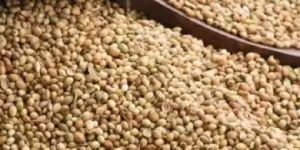 Coriander Seed