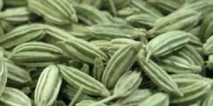 Fenugreek Seed