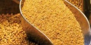 Fish Meal Powder