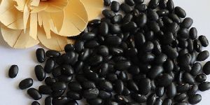 High Quality Organic Chinese Small Black Kidney Bean