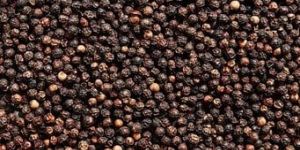 Black Pepper
