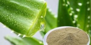 Aloe Vera Powder