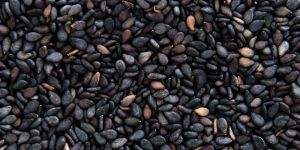 Black Sesame Seeds