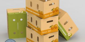 Fruit Packaging Corrugated Box