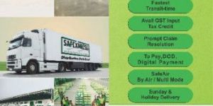 Express Distribution - Surface