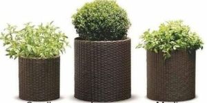 Garden Wooden Planter