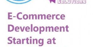 Ecommerce Website Designing Services