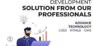 Custom Cms Website Design Development Solution
