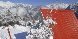 Blackberry Cottages + Sedan (3 Night) Holiday packages