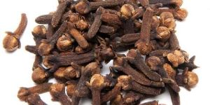 Dried Cloves