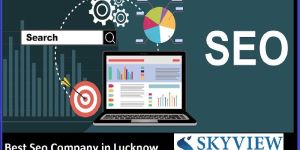Seo Services in Lucknow