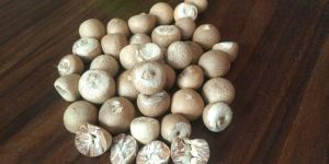 Manglore Areca Nut