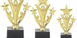 3 Star Trophy (Small)