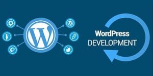 Wordpress Website Development Service