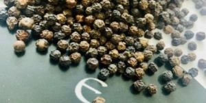 Black Pepper
