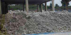 Diclacium Phosphate