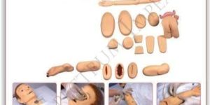 Medical Mannequin
