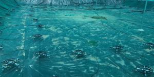 Aqua Pond Lining Services