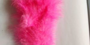 Hot Pink Bird Feather