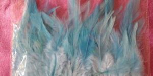 Sky Blue Bird Feather
