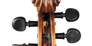 Violin Pegs