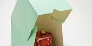 Pastry / Cupcake Box