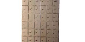 Mobile Storage Locker