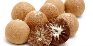 Betel Nut