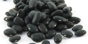 Black Kidney Beans