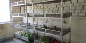 Vegetable Storage Rack