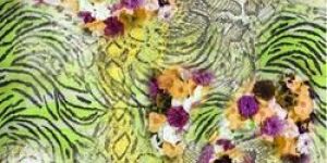 Digital Printed Scarves Fabric