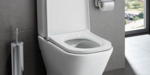 Coupled Toilets Closet