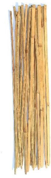 Bamboo Sticks for Plant Support