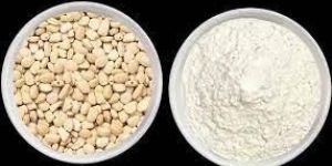 Tamarind Kernel Powder