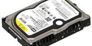 Server Hard Disk