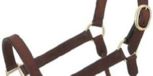 Article No. LH 203 A Horse Leather Halter