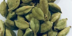 Green Cardamom