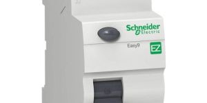 Schneider Double Pole RCCB