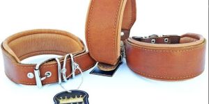 Dog Collar