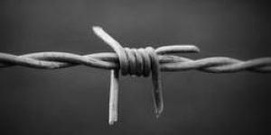 Stainless Steel Barbed Wire