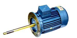 Flange Type Long Shaft Motor