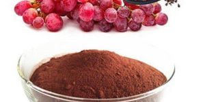 Grape Seed Extract