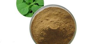 Papaya Leaf Extract