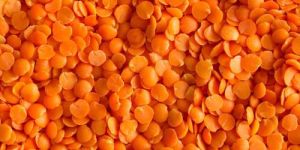 Red Lentils