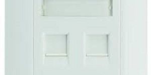 Belden Dual Faceplate