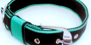 1.25 Inch Nylon Dog Collar
