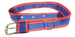 1.5 Inch Nylon Dog Collar