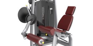 Leg Extension
